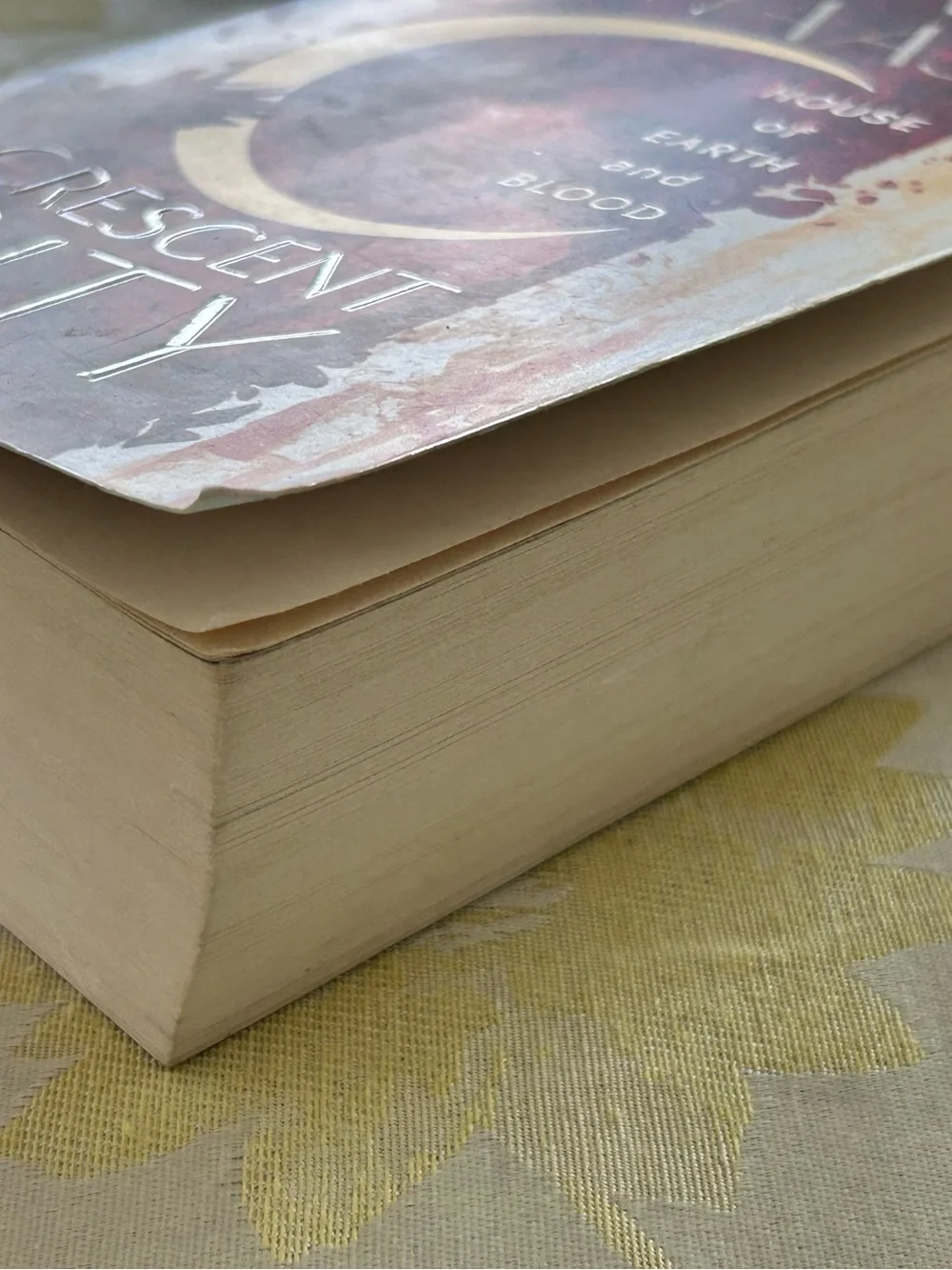 Sarah J Maas Crescent City House of Earth And Blood